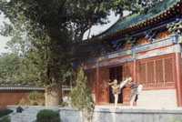 �������´��ڞg�[�DƬ