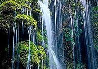 �ضɜ� �w����  