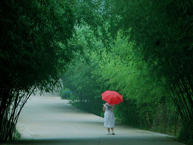 �ضɜ� ����