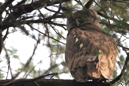 ���S�ӝ�جF(xi��n)��Ҋ�����^  