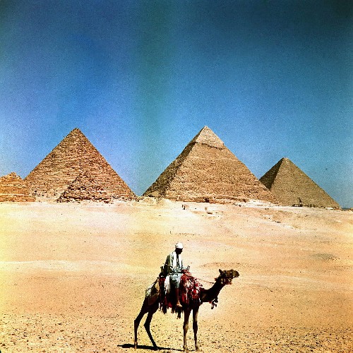 ���ذ��������� ���������µĺ��E