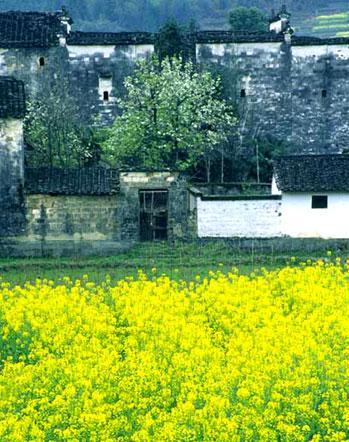 �H�� ��Դ�����