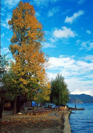 �H�� �o�������͗�