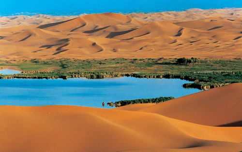 ��(n��i)�ɹ�������ɳĮ�ȼپƵ�