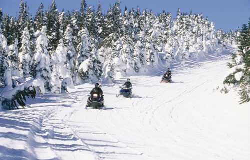 ��ѩ������