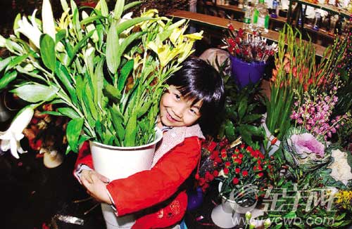 �����x�r��