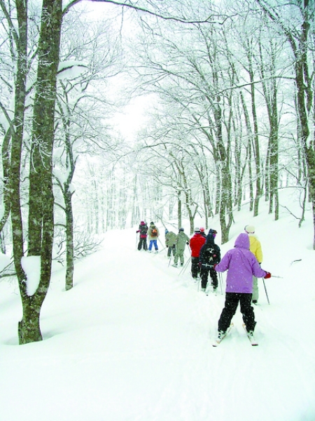 ��ѩ ��� ��ţɽ ��ѩ��