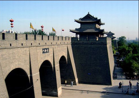 ���� ���ǉ� ���� ����܇