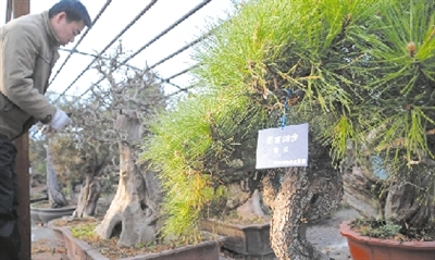 �������辰�@ ������ �辰 ���� ���M(f��i)�_��