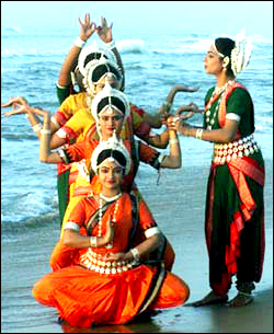 ӡ�� ���� ʹ��Ԫ�� ��ʳԪ�� ��(x��)��