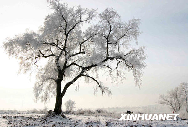 �����Fڡ���^