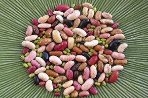 �D����������С�[�T