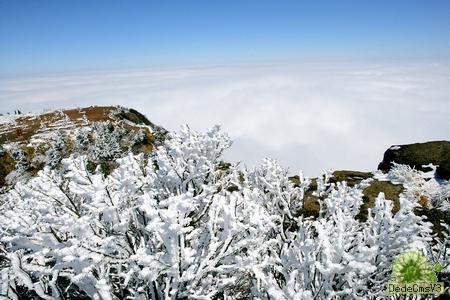 ��üɽ �������� Ԫ�� ����(ji��) ��ü��� �������� �봨���� 