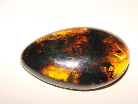 �������{����