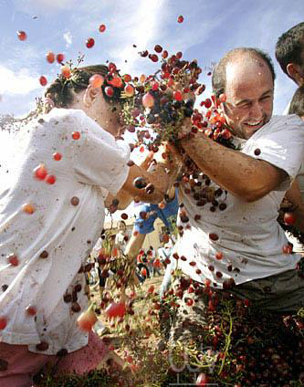 Ԫ�� ���� ��ʳ ������� ������