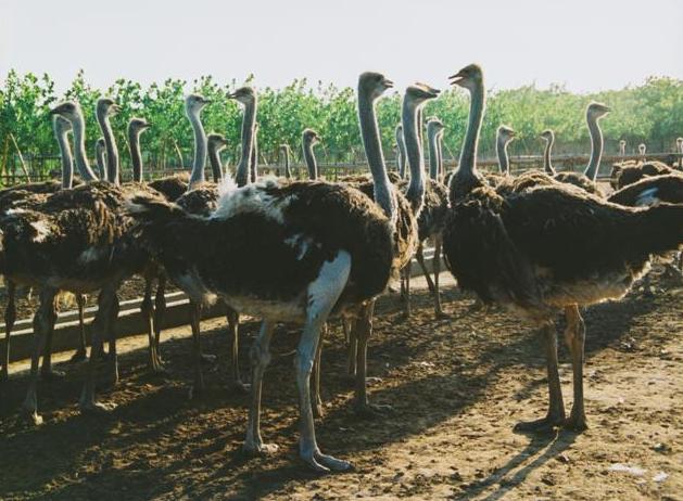 �����r�B�Θ��@ �r�B