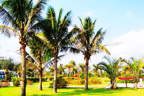 ���ύu�����ȼ�