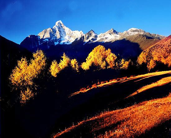 �Ĺ���ɽ�����