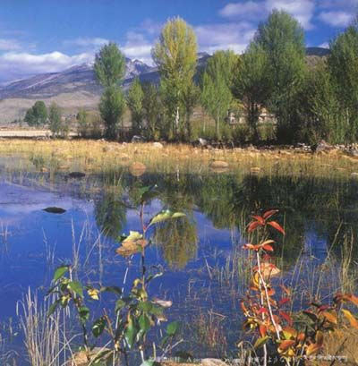 ͽ�����ǁ���