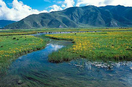 ͽ��ɏ��īÓ