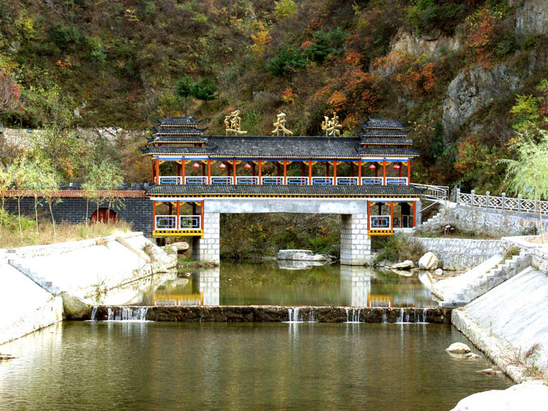 �质ͨ��{���^(q��)