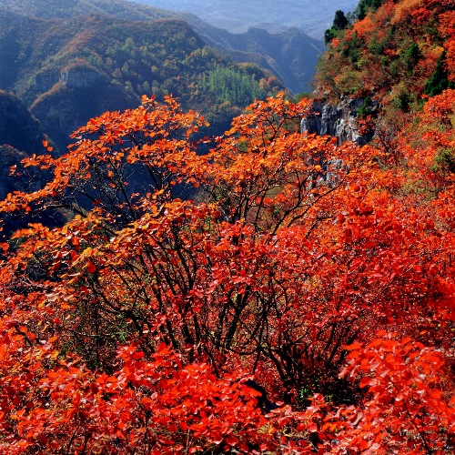 �����-����?gu��)X