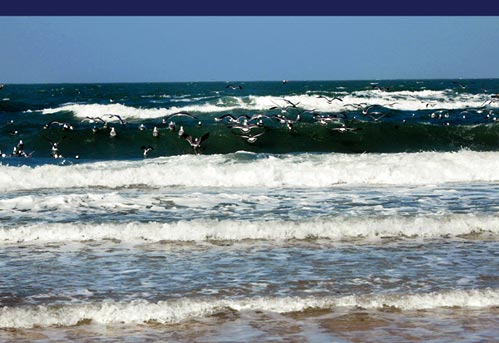 ���c���t