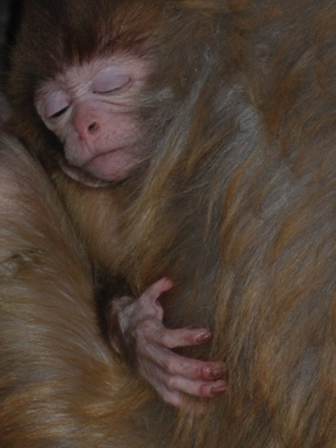 ���M̫��ɽˮ�꣺�����