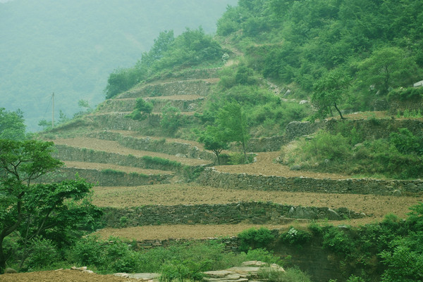 ���M(j��n)̫��ɽˮ�꣺�����