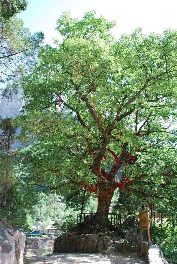 ���M(j��n)̫��ɽˮ�꣺�����