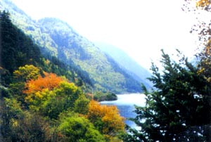 ��ɽɭ�ֹ��@