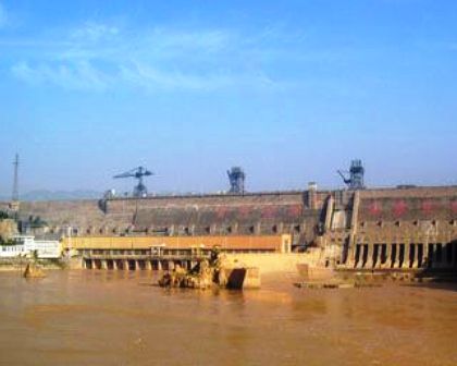 ���T�{���