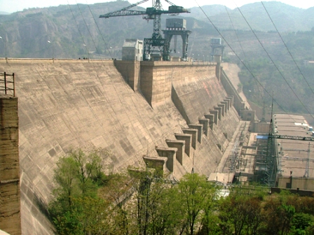 ���T�{���