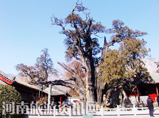 ���(y��ng)��Ժ  ����܊��