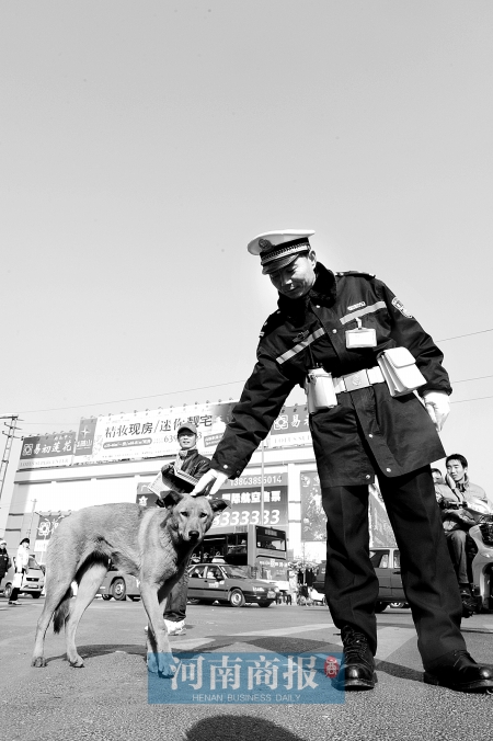 ɽկ��Ȯ   ����