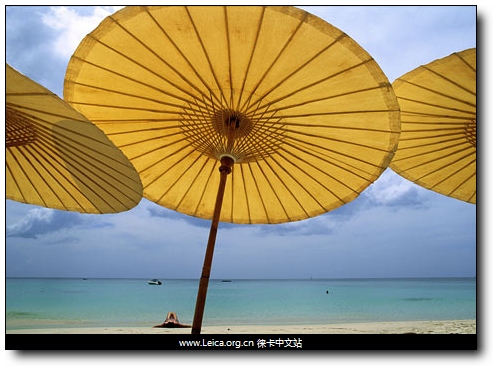 ���ΔzӰ  �Ƕ�