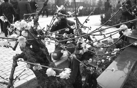 ����D÷�@ ����������^(q��)��Ȫ�(zh��n) �D÷�Ļ����ι�(ji��)