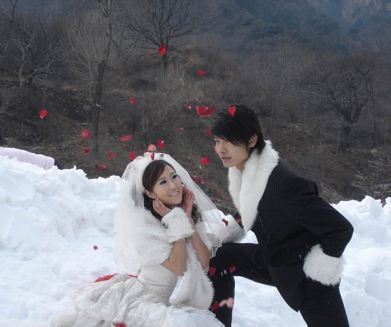 ��ĩ��1��10����11�գ� �f��ɽ ��ѩ��Y  