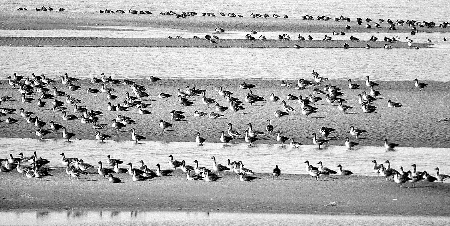 ���B(ni��o) ���� ���Q ������ �S�ӝ�� �����S�Ӈ�(gu��)�ҝ�ع��@ ��(gu��)�ҝ�ع��@