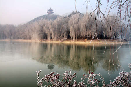 ������ֲ��@