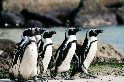 �_�ն� �Ϸ� 2010�����籭