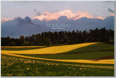 �����\(ch��ng)��_�� �⾰�� �ο� ����(ji��) ��������· �L(f��ng)��