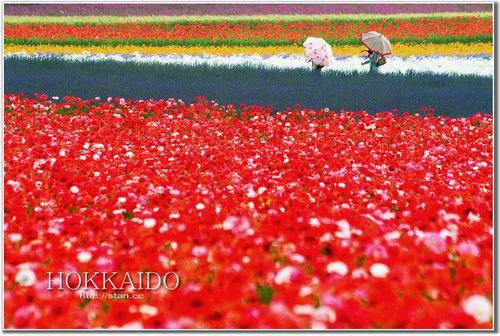 �����\(ch��ng)��_�� �⾰�� �ο� ����(ji��) ��������· �L(f��ng)��