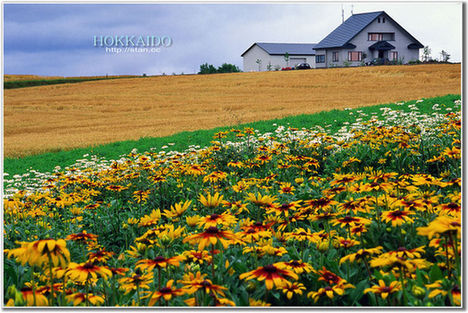 �����\��_�� �⾰�� �ο� ����(ji��) ��������· �L��