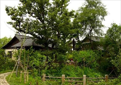 �TС���Ӱ�����\��_�� ֲ��ʽ�I�N �⾰�� ��Ϫ��� �L(f��ng)�� ����