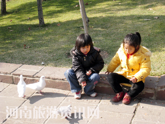 ���Gɽ���@ ��Ƭ ι���ӵĿɐ�Ů�� ���C���� �D��