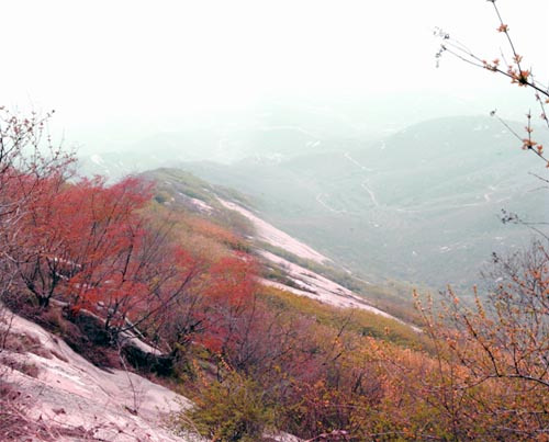 ���ɽ���ƿ���֮�i