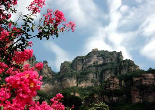 ���� ��{�� �nϪ ˮ�� �ˑB(t��i)�fǧ ���ﮋ�� 