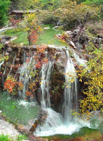 ���� ��{�� �nϪ ˮ�� �ˑB(t��i)�fǧ ���ﮋ�� 