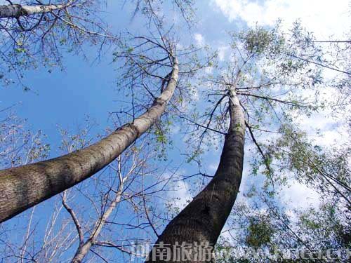 ����@ ����(j��)����